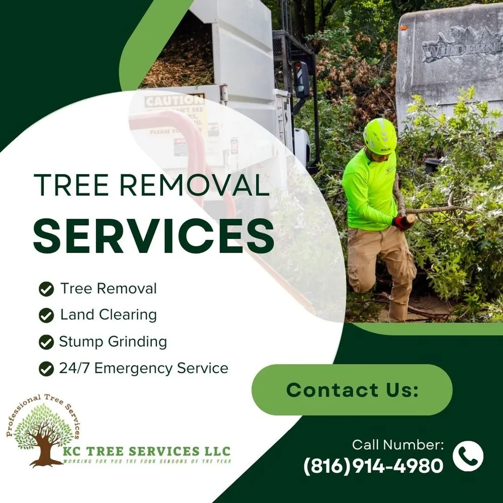 Top-rated lawn mowing service for beautiful yards in Kansas City, MO by KC Tree Services