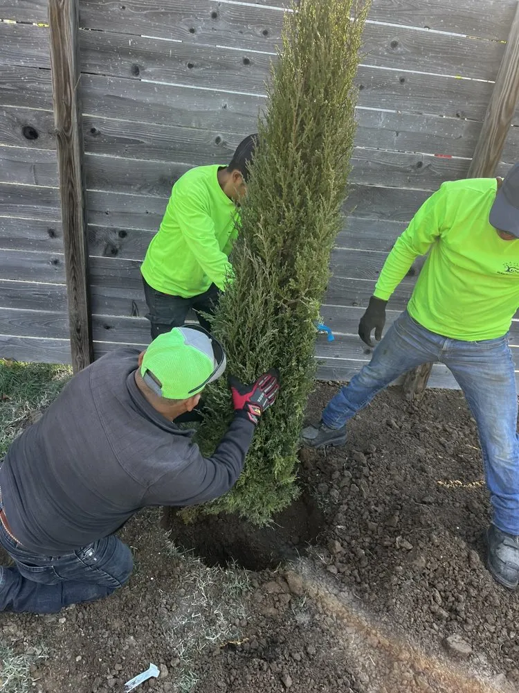 Affordable garden landscaping in Kansas City, MO - KC Tree Services