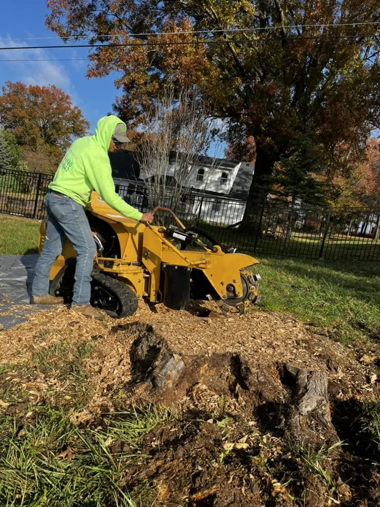 Top-rated landscape design in Kansas City, MO - KC Tree Services