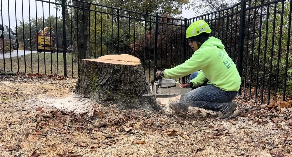 Custom yard cleanup service in Kansas City, MO by KC Tree Services