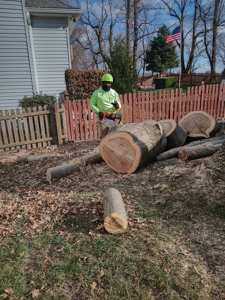 Reliable landscape installation in Kansas City, MO by KC Tree Services