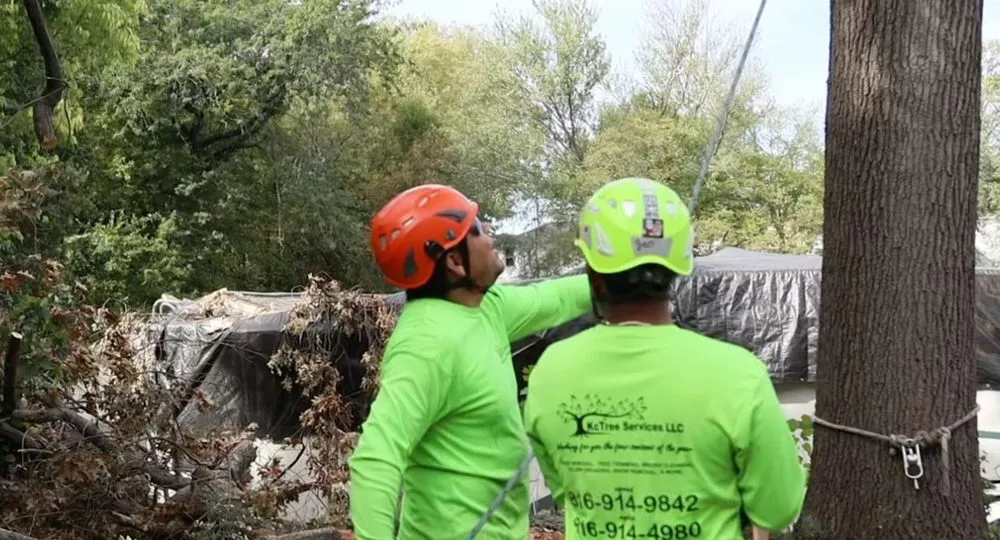 Professional lawn mowing service for homes in Kansas City, MO by KC Tree Services