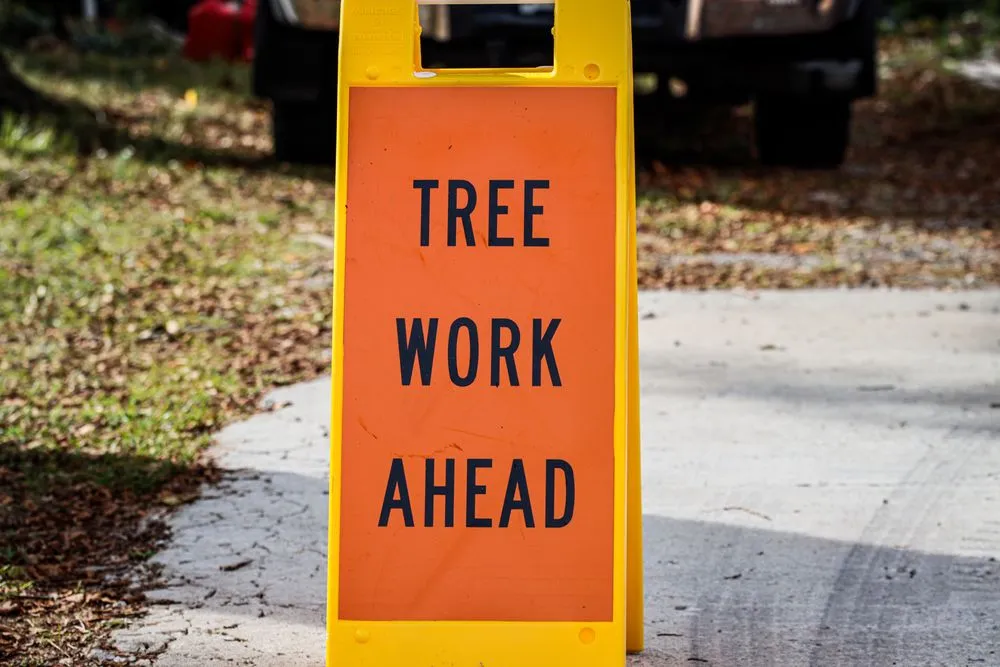 Affordable landscaping services experts serving Kansas City, MO - KC Tree Services