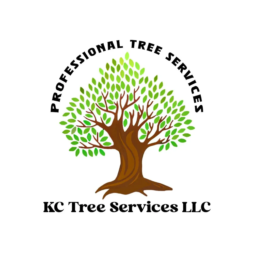Local yard maintenance in Kansas City, MO by KC Tree Services