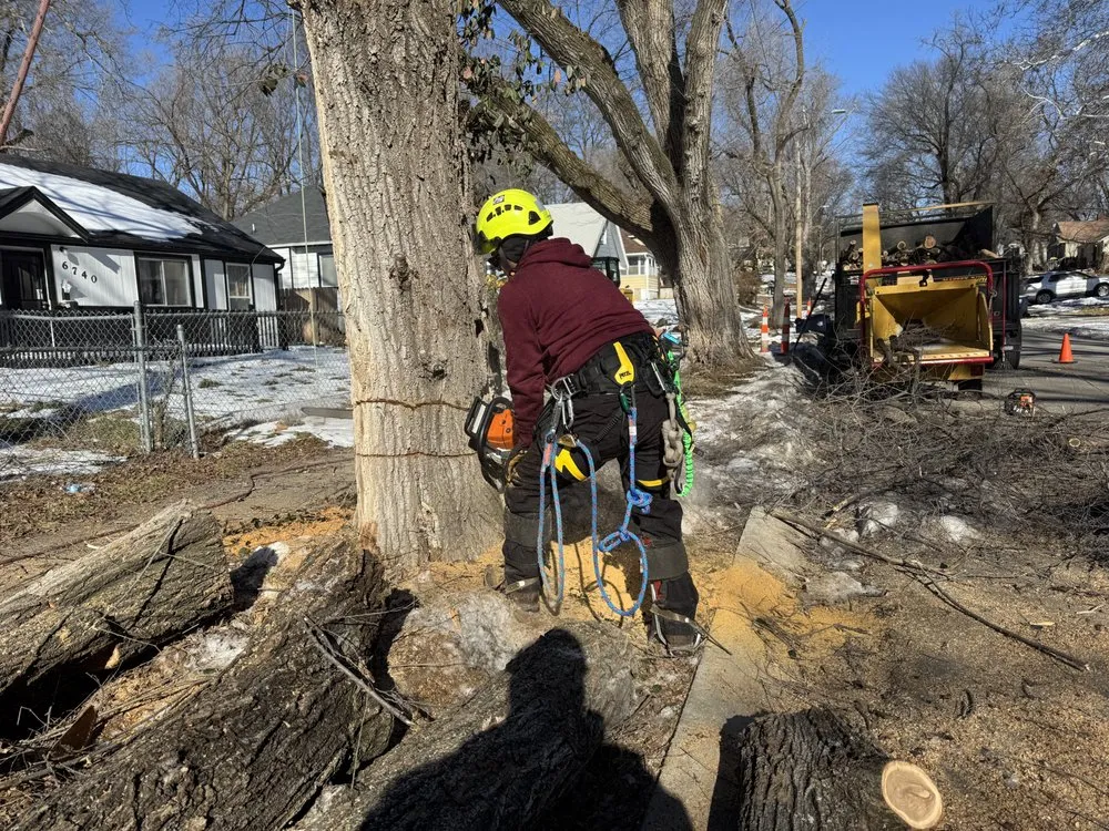 Custom landscape design in Kansas City, MO by KC Tree Services