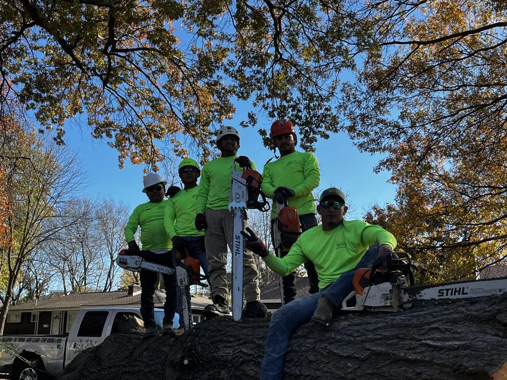 Top-rated lawn care service in Kansas City, MO by KC Tree Services