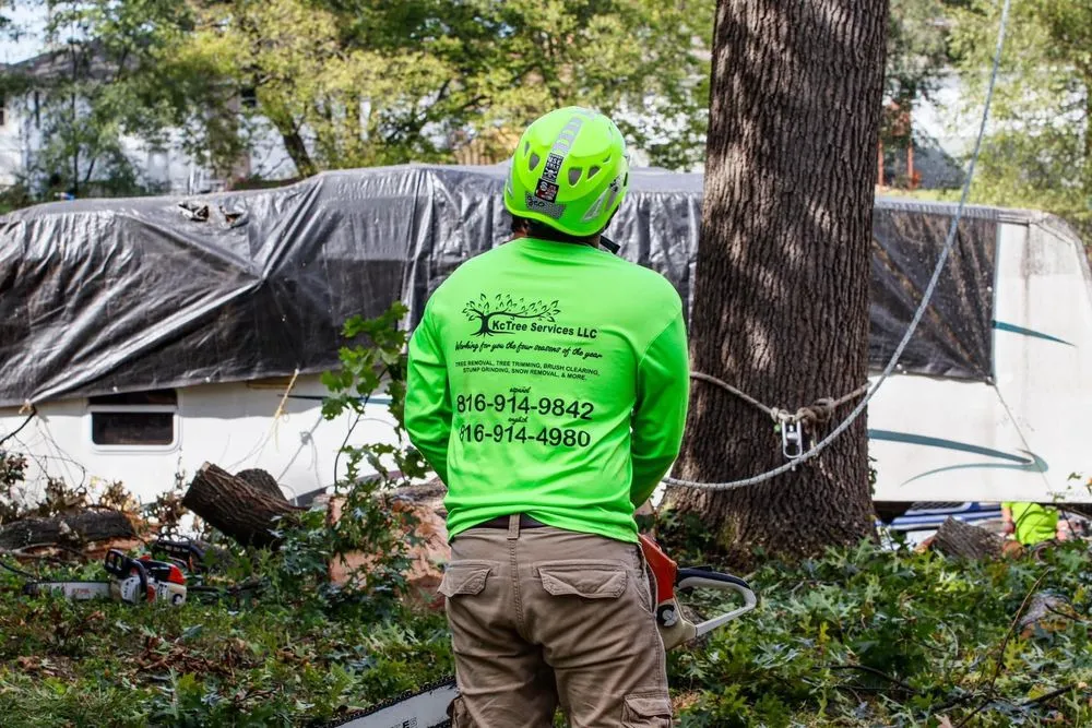 Affordable landscape design in Kansas City, MO - KC Tree Services
