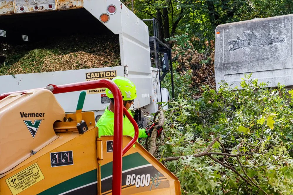 Local lawn mowing service in Kansas City, MO by KC Tree Services