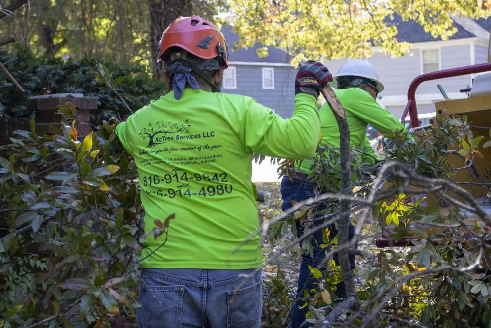Affordable landscaping services with custom design across Kansas City, MO - KC Tree Services