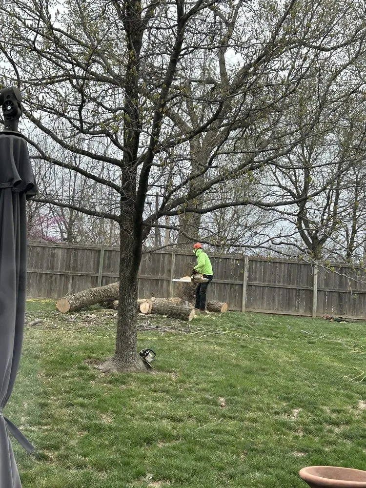 Affordable landscape installation near you in Kansas City, MO by KC Tree Services