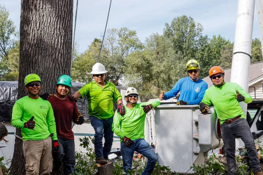 Local residential landscaping for homes across Kansas City, MO - KC Tree Services