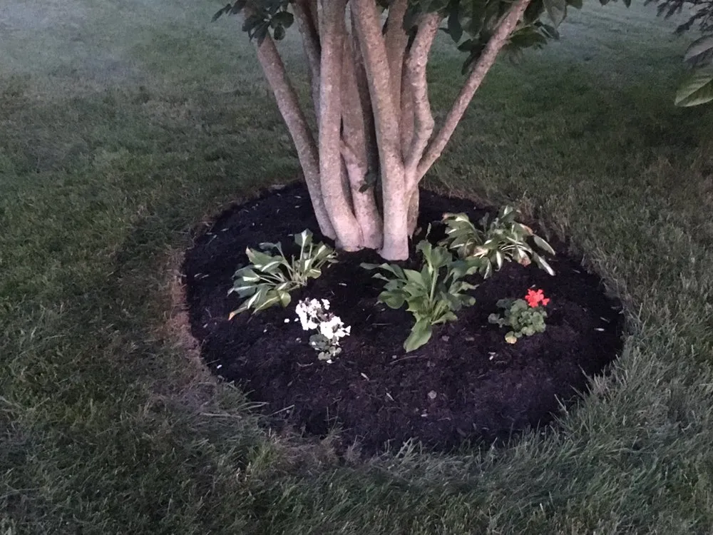 Reliable lawn care service in Germantown, OH by KCC Outdoor Services