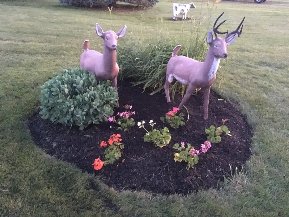 Professional yard maintenance in Germantown, OH - KCC Outdoor Services