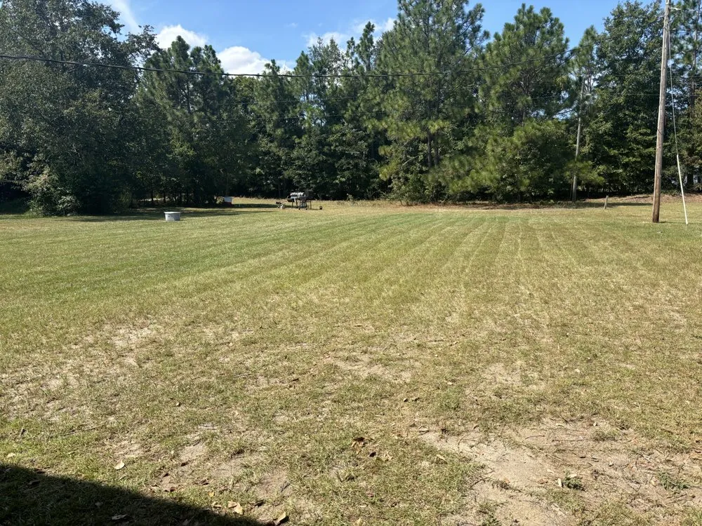 Affordable outdoor landscaping in Piedmont, SC by KCFR Repairs and Landscaping