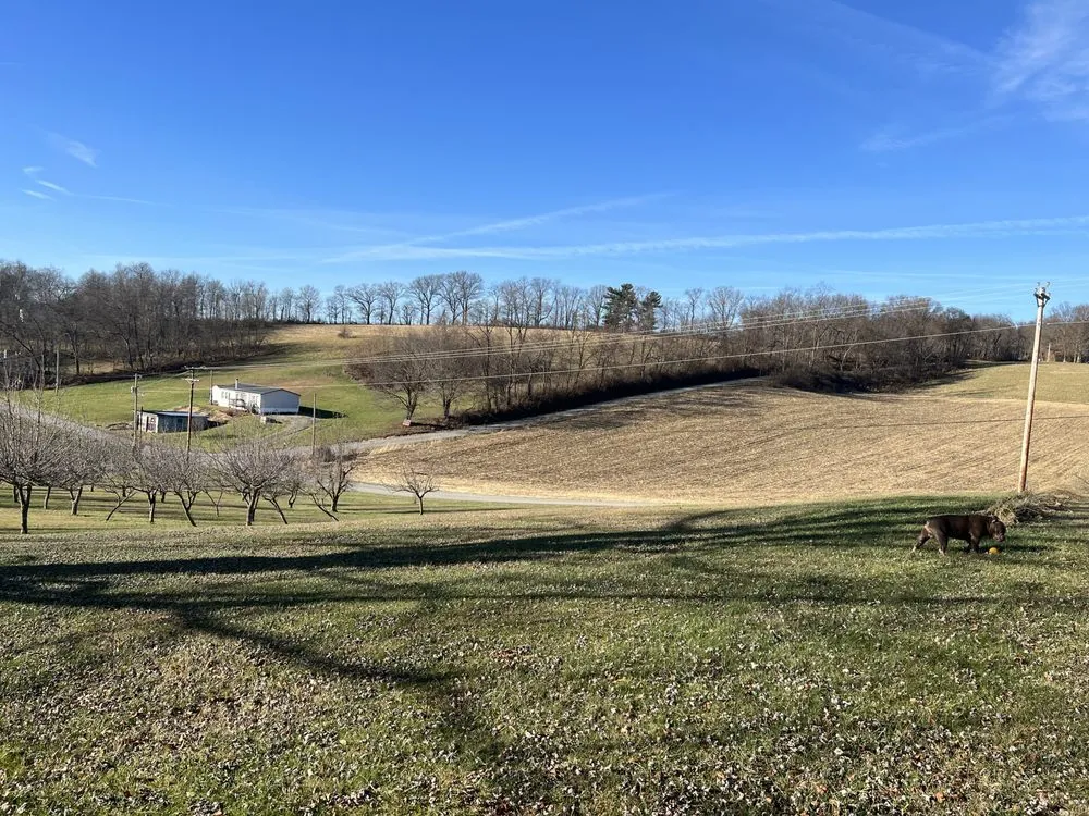 Reliable lawn care service for outdoor upgrades in Piedmont, SC by KCFR Repairs and Landscaping