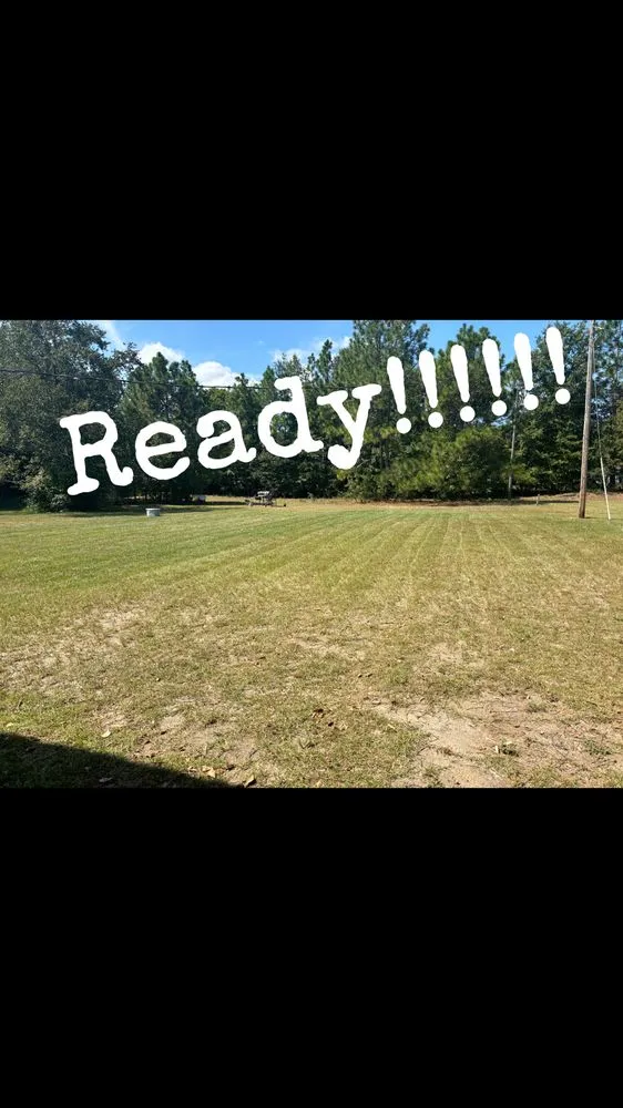 Professional lawn care service in Piedmont, SC by KCFR Repairs and Landscaping