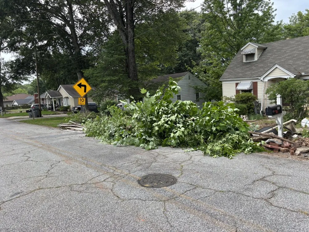 Professional outdoor landscaping with custom design in Piedmont, SC by KCFR Repairs and Landscaping