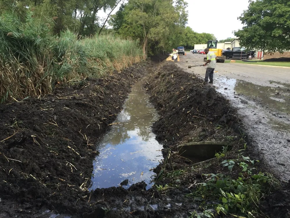 Affordable yard cleanup service experts serving Gilberts, IL - KCG Management