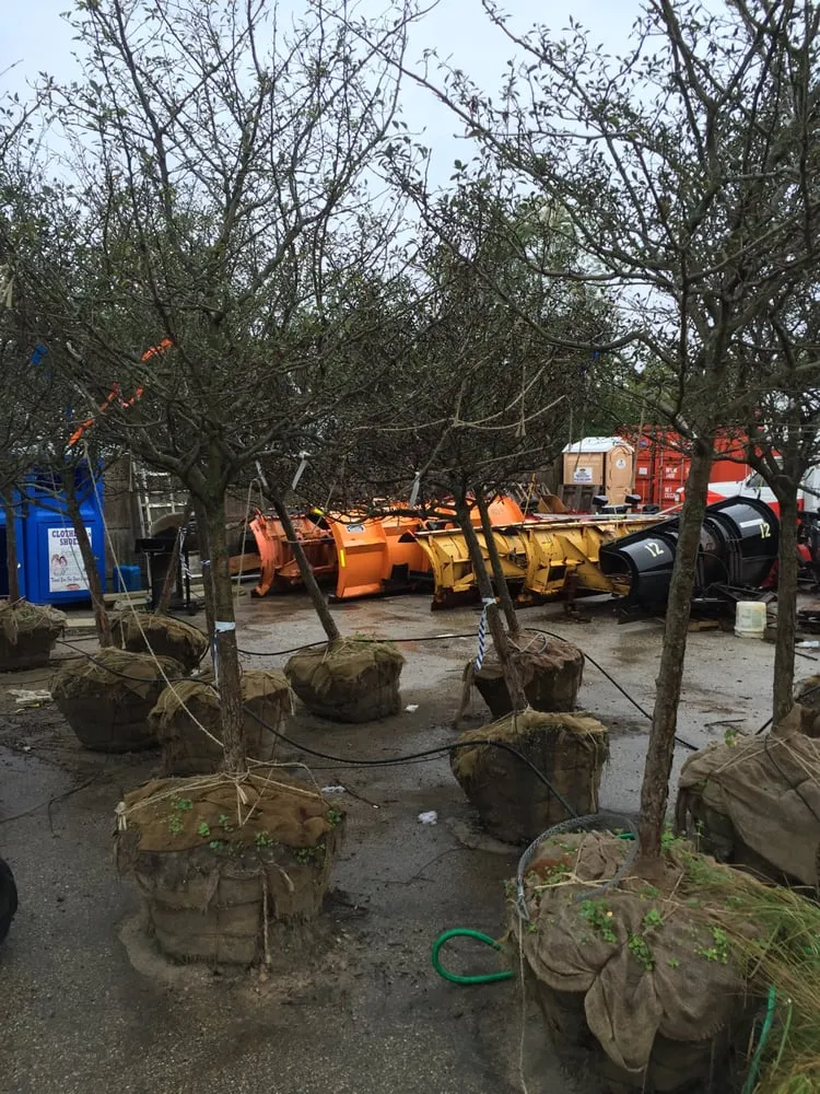 Expert landscape design for homes in Gilberts, IL by KCG Management