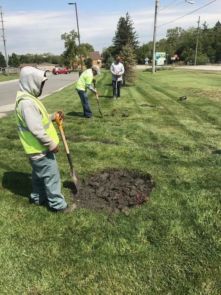 Professional yard cleanup service in Gilberts, IL by KCG Management