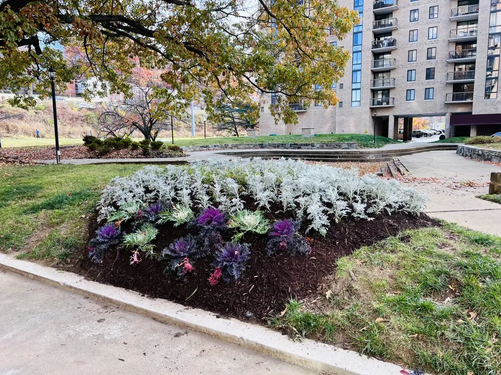 Top-rated landscape design in Fairfax, VA - KCI Landscaping