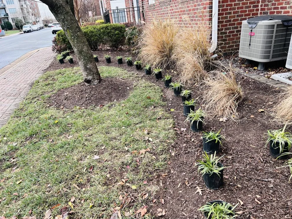 Custom landscape installation with custom design across Fairfax, VA - KCI Landscaping