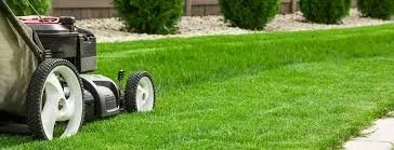 Trusted yard cleanup service in Clintondale, NY - KCJ Lawncare