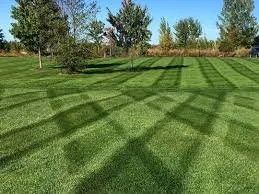 Affordable landscape design in Clintondale, NY - KCJ Lawncare