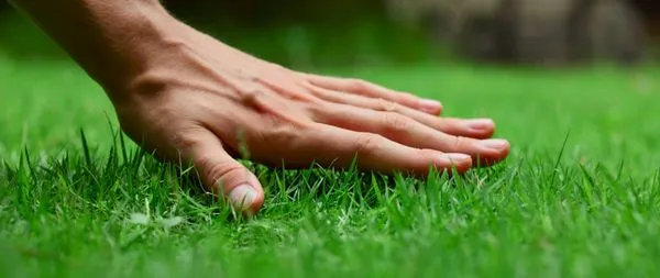KCJ Lawncare Logo