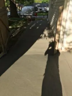 Trusted yard maintenance in Kansas City, MO by Kcmo Concrete Workx