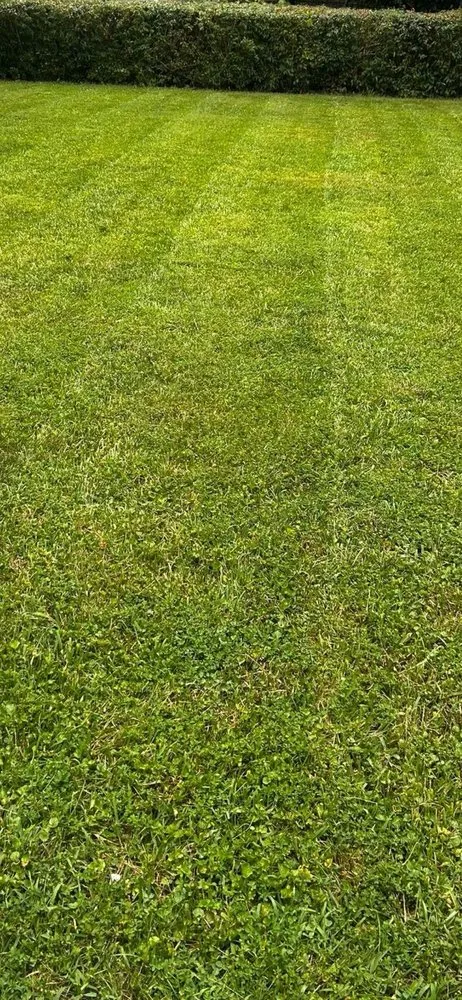 Professional garden landscaping in Fort Walton Beach, FL - Kc's Better Lawncare