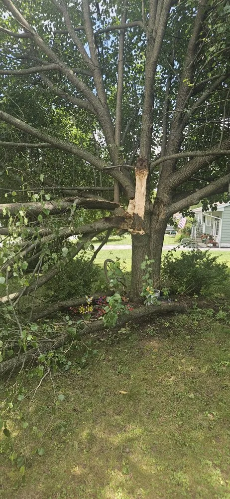 Trusted landscaping services for homes in Fort Walton Beach, FL by Kc's Better Lawncare