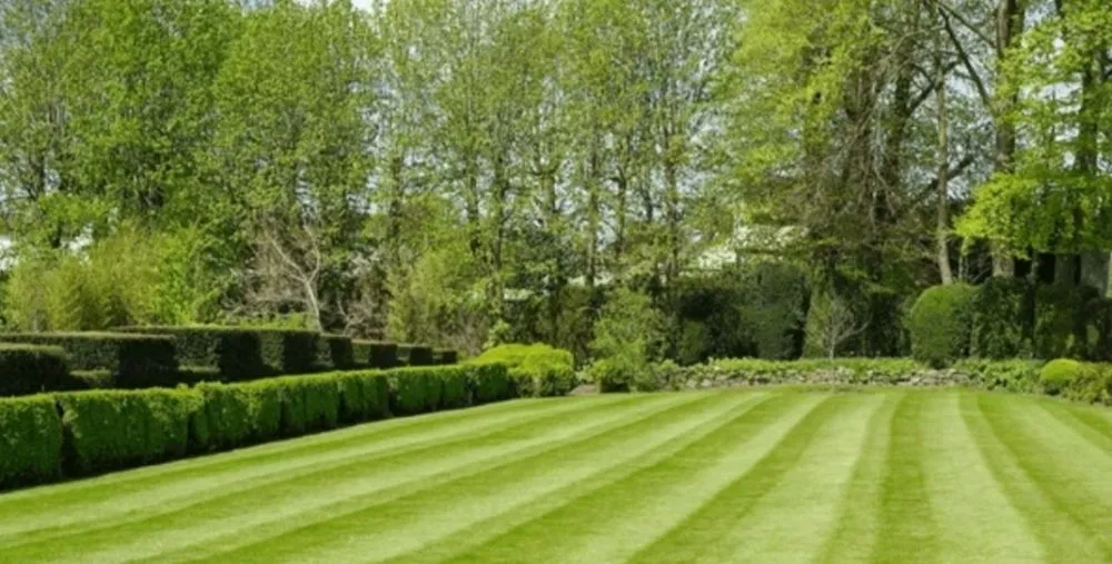 Expert garden landscaping with custom design across Fort Walton Beach, FL - Kc's Better Lawncare