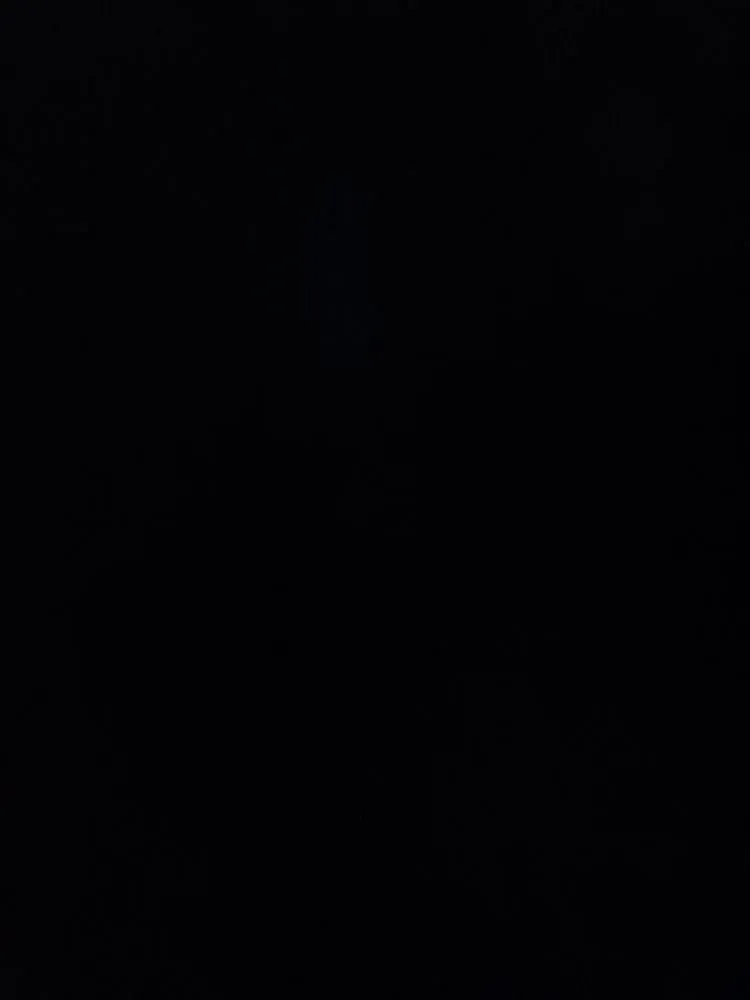 Custom yard cleanup service in Waretown, NJ - KCS Landscaping & Tree Removal