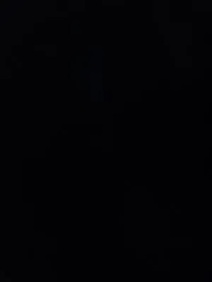 KCS Landscaping & Tree Removal