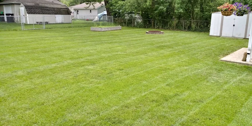 Affordable yard cleanup service in Waterloo, IA - KCs Lawn Care