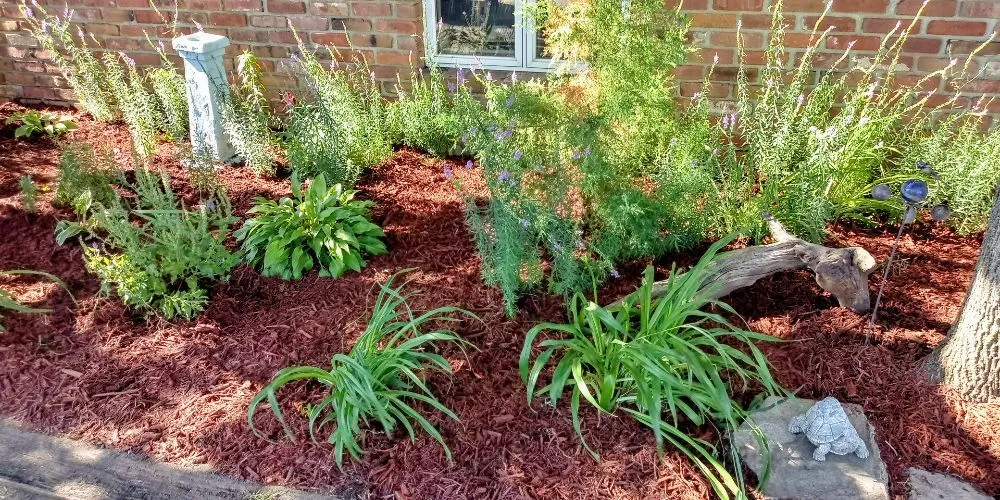 Reliable landscape installation for residential properties in Waterloo, IA by KCs Lawn Care