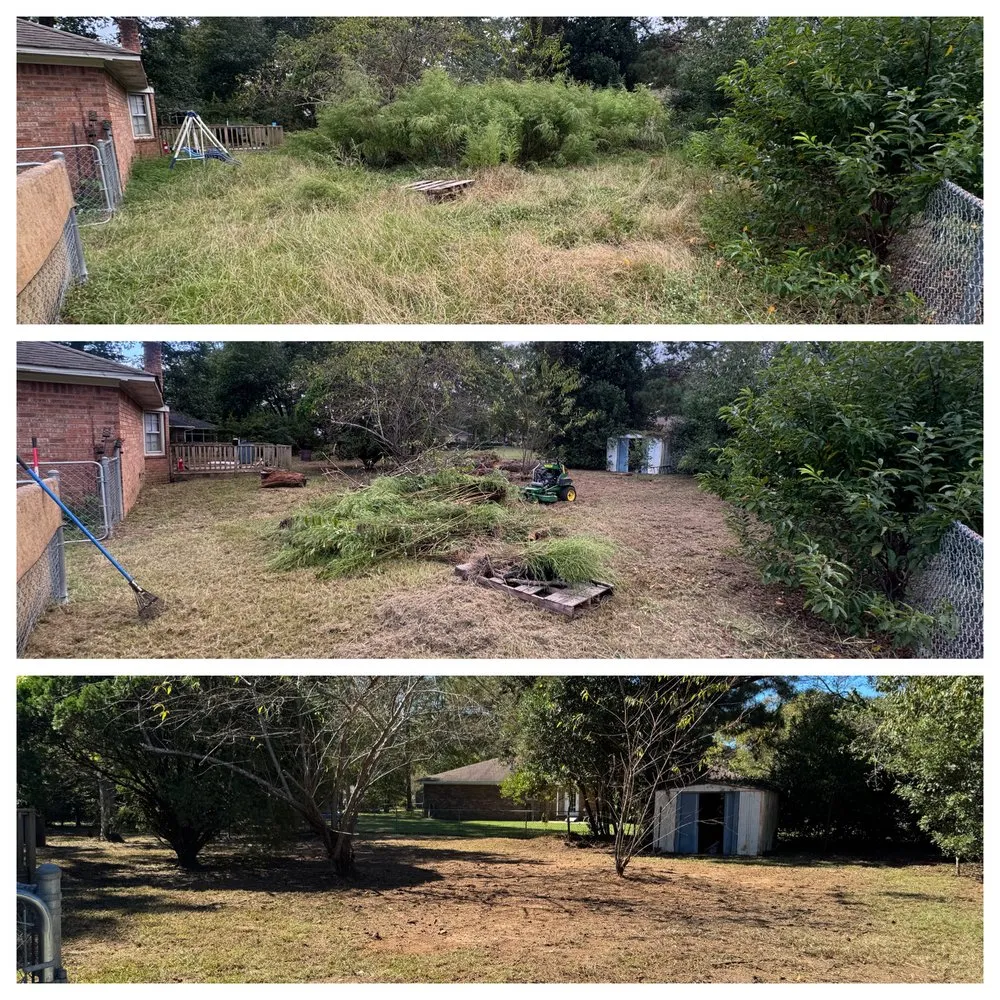 Professional landscaping services for year-round maintenance in Sumter, SC by KC's Maintenance