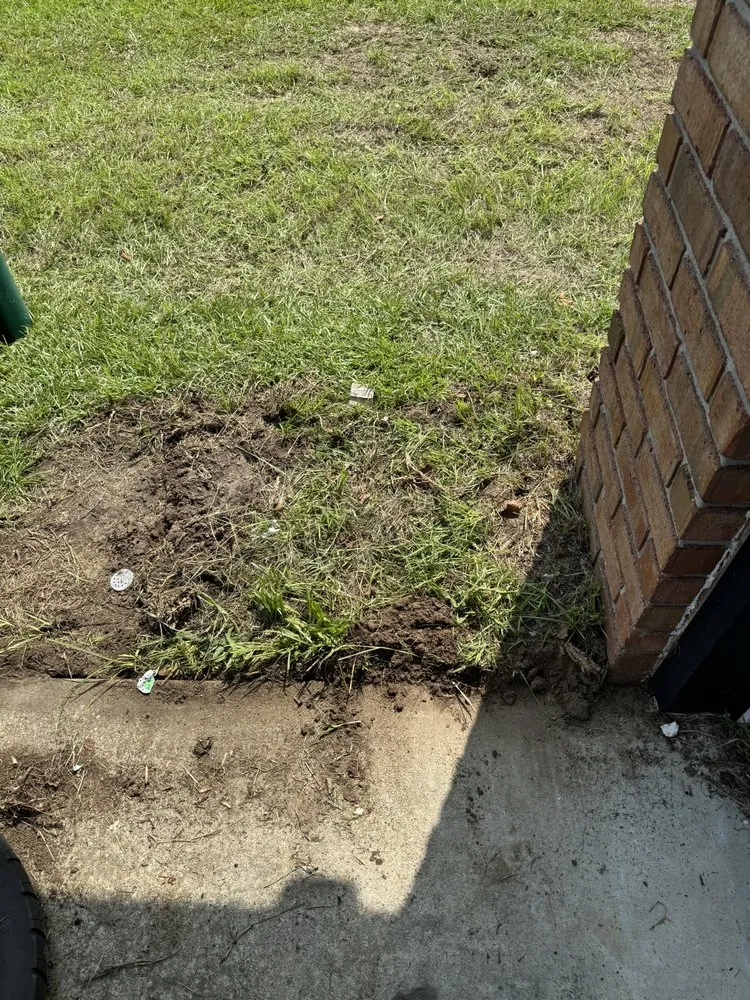 Top-rated residential landscaping for residential properties in Sumter, SC by KC's Maintenance