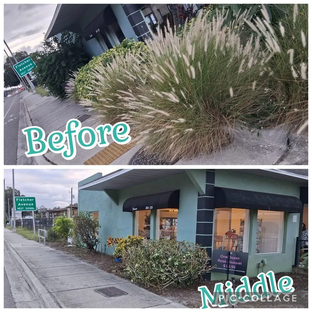 Expert landscape installation in TEMPLE TERR, FL by Kc's MasterKutz & Irrigation