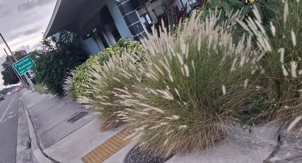 Top-rated outdoor landscaping experts serving TEMPLE TERR, FL - Kc's MasterKutz & Irrigation