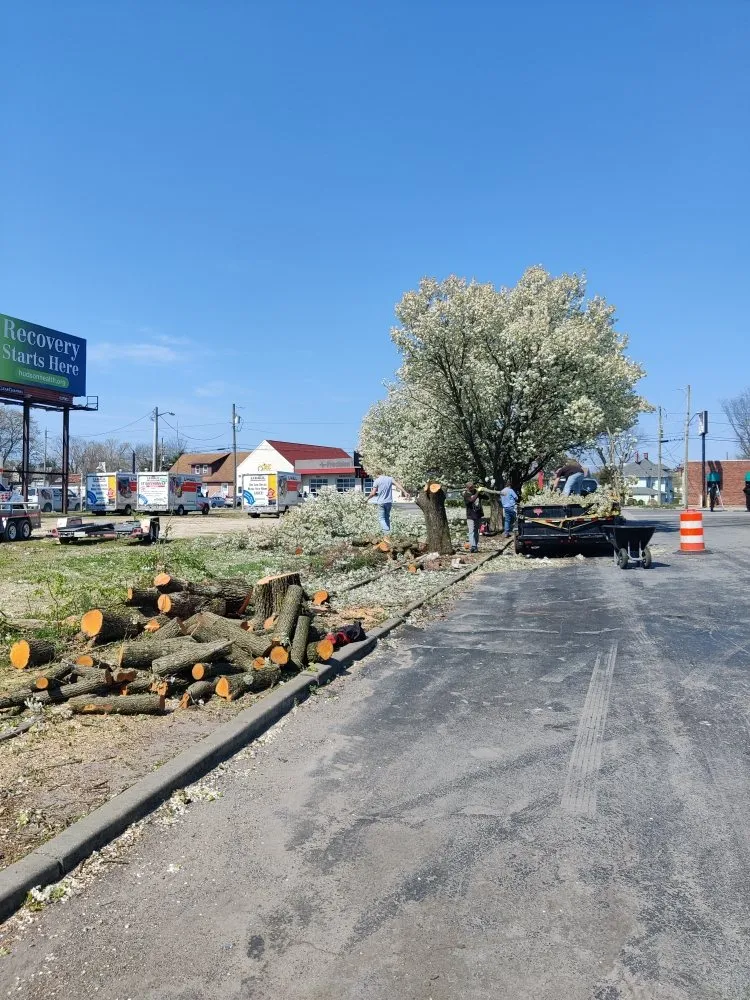 Affordable landscape design for year-round maintenance in Laurel, DE by KC'S Tree And Lawn Services