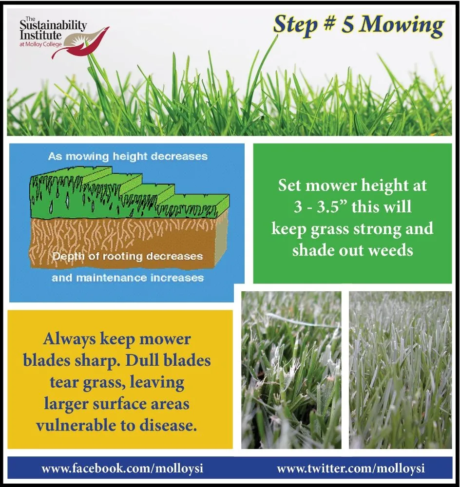 Trusted landscaping services experts serving Laurel, DE - KC'S Tree And Lawn Services