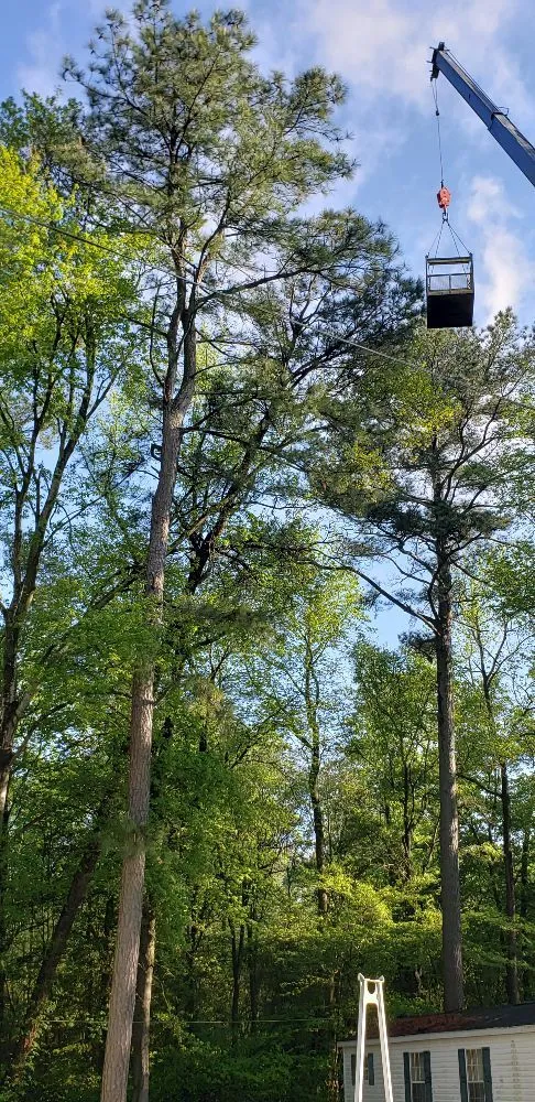 Top-rated lawn care service with custom design across Laurel, DE - KC'S Tree And Lawn Services