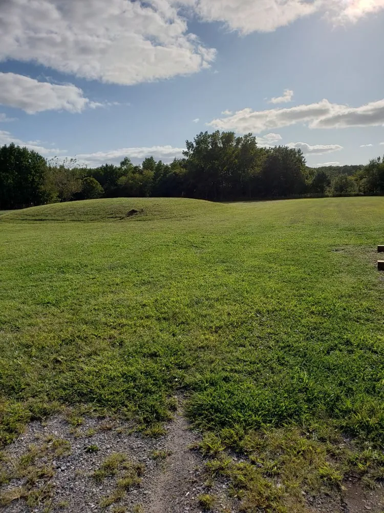 Top-rated landscape installation for year-round maintenance in Laurel, DE by KC'S Tree And Lawn Services