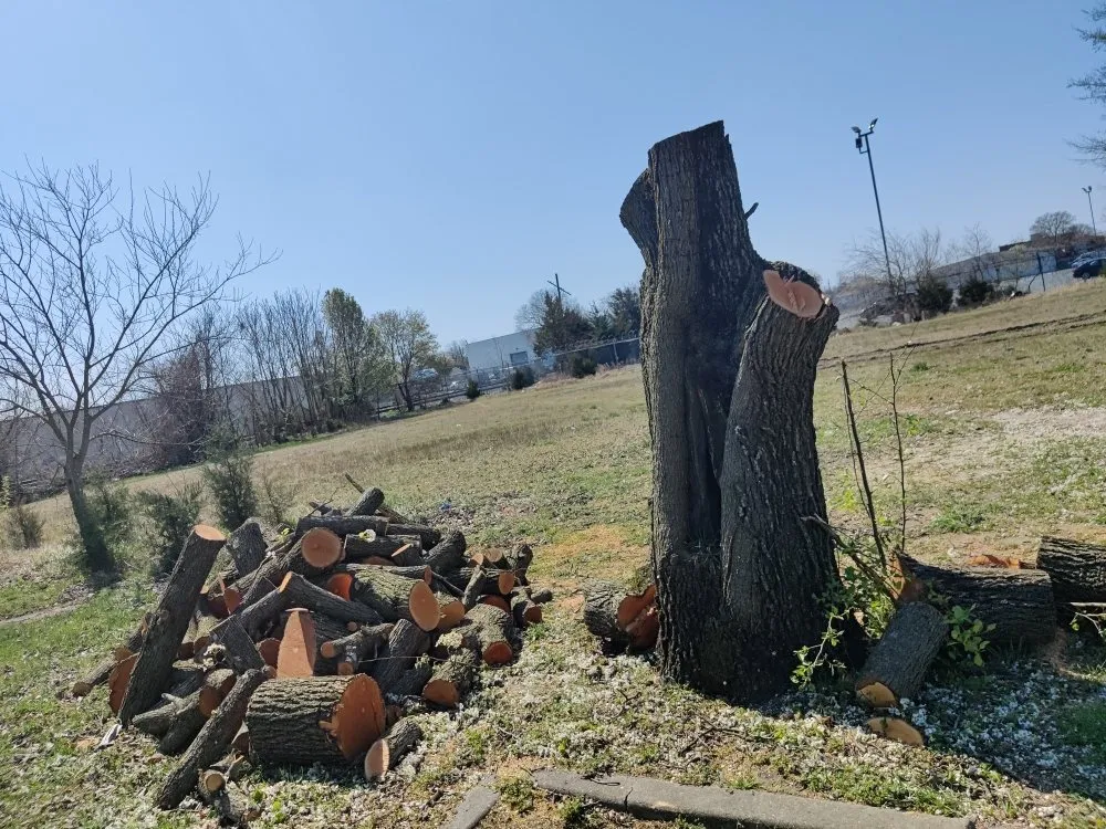 Reliable lawn care service near you in Laurel, DE by KC'S Tree And Lawn Services