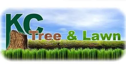 Custom yard cleanup service near you in Laurel, DE by KC'S Tree And Lawn Services