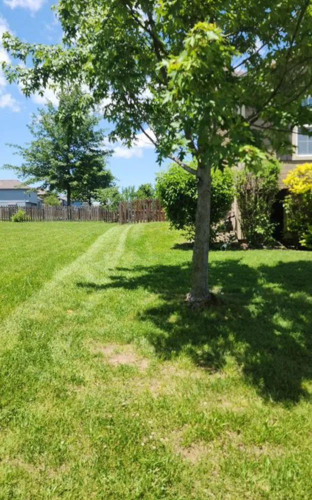 Local yard cleanup service in Kansas City, MO - K&D Elite Lawn Care
