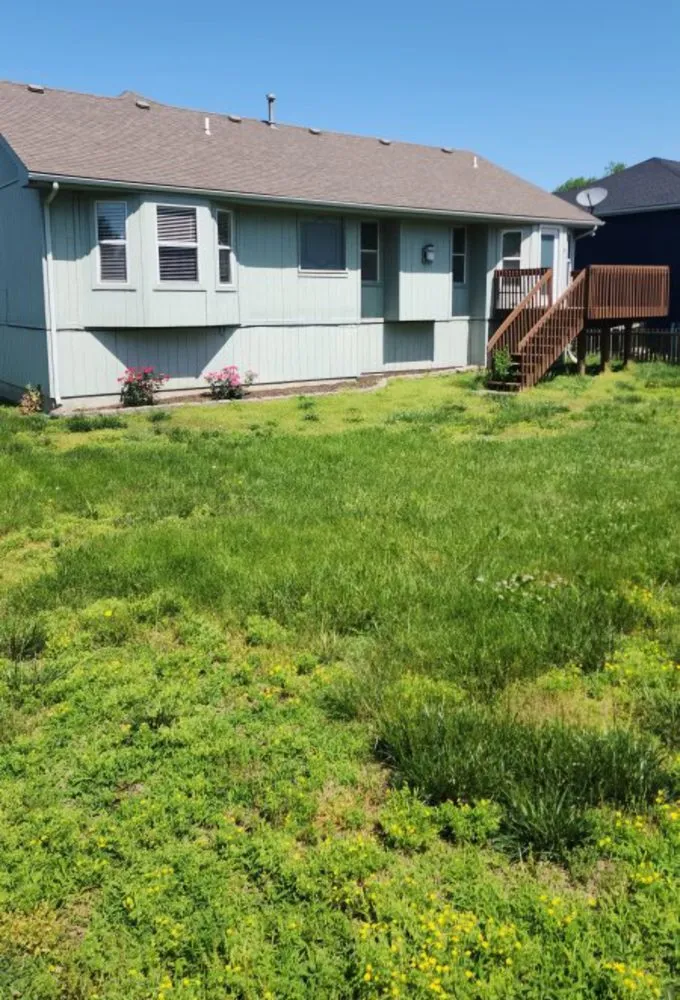 Top-rated yard maintenance in Kansas City, MO by K&D Elite Lawn Care