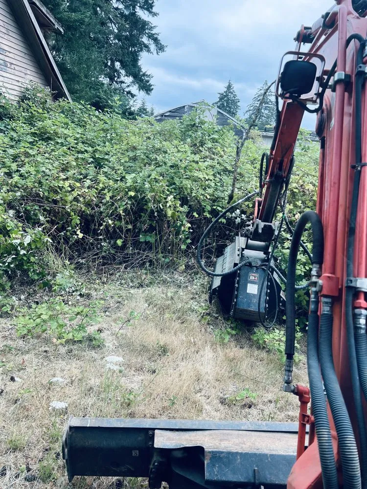 Top-rated landscape installation for year-round maintenance across Cornelius, OR - K&D Excavation